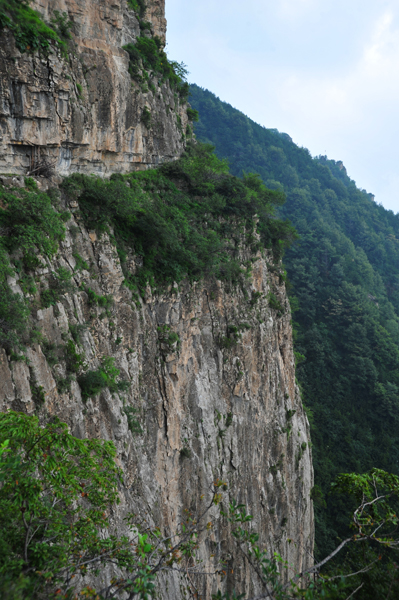 登頂桃花洞