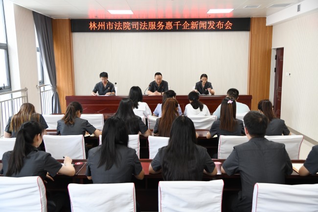 林州法院召开"司法服务惠千企"新闻发布会 河南省林州市人民法院